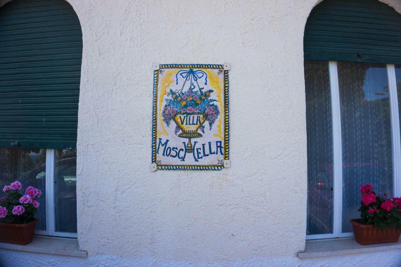 Guest house Moschella